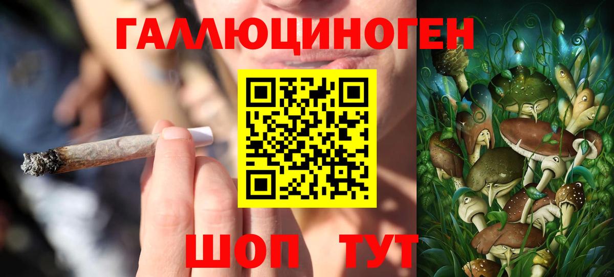 Бошки Шишки Кулебаки