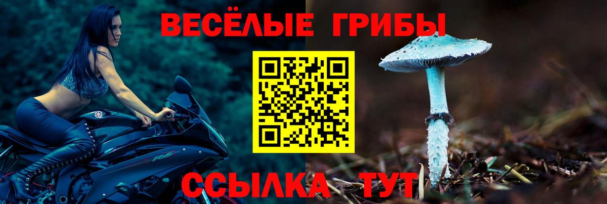 Псилоцибиновые грибы Cubensis Кулебаки